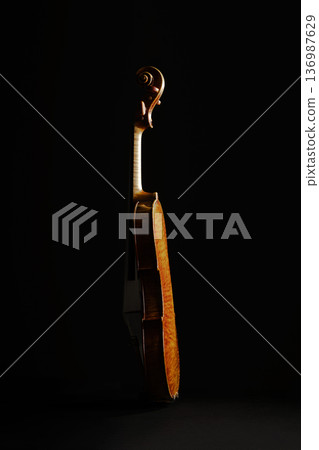 Studio photography of the famous Leandro Bijacchi violin, a high-end classical string instrument 136987629