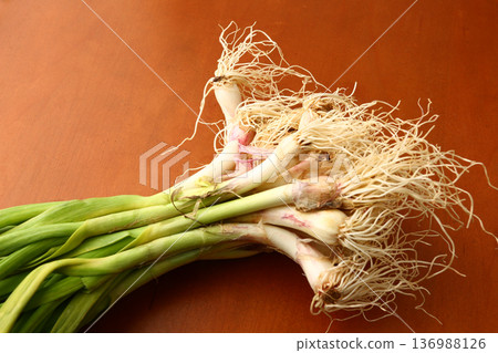 Fresh Green Garlic Bunch on Rustic Surface Fresh Green Garlic Bunch on Rustic Surface 136988126