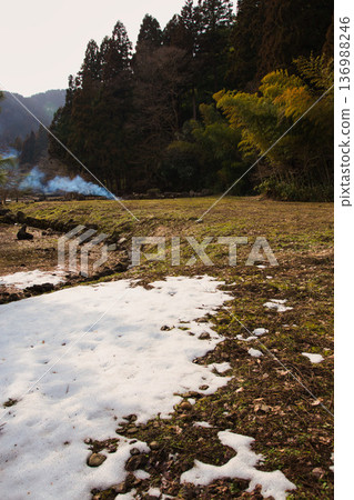 Cedar pollen arrives 136988246