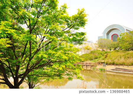 愛知健康森林公園的清新綠意 136988465
