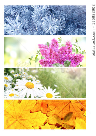 Four season of year. Set of horizontal nature banners. Each one features scene of nature, from the gentle snowfall of winter to the vibrant leaves of summer. Perfect for showcasing changing seasons 136988908