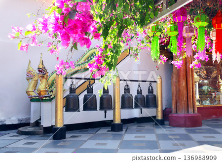 Two naga serpent statue and bells at Wat Phrathat Doi Suthep, Thailand. Beautiful flower and oriental lantern in Wat Phra That Doi Suthep, Chiang Mai. Topic of vacation, travel, trip, cruise, tour 136988909