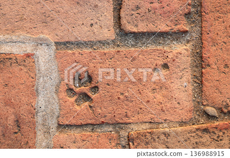 Terracotta Brick Texture with Animal Paw print. Natural rustic retro brick wall texture with cute dog paw mark. Zero waste, reuse, renewable resource, eco-friendly, pet-friendly concept Terracotta Brick Texture with Animal Paw print. Natural rustic retro brick wall texture with cute dog paw mark. Zero waste, reuse, renewable resource, eco-friendly, pet-friendly concept 136988915