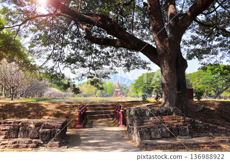 Big old tree and parked bikes near river, Sukhothai historical park, Thailand. Picturesque landscape with tree, river and stupa, Sukhothai old city, Northern Thailand. Topic of vacation, travel, trip Big old tree and parked bikes near river, Sukhothai historical park, Thailand. Picturesque landscape with tree, river and stupa, Sukhothai old city, Northern Thailand. Topic of vacation, travel, trip 136988922