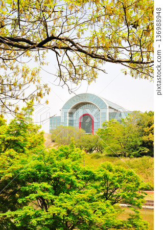 愛知健康森林公園的清新綠意 愛知健康森林公園的清新綠意 136988948