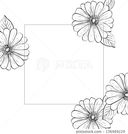 Vector delicate Gerbera frame with leaves. Hand painted linear template, contour chrysanthemum, osteospermum, chamomile flower. Graphic clipart isolated. Botanical, tattoo and wedding illustration 136989229