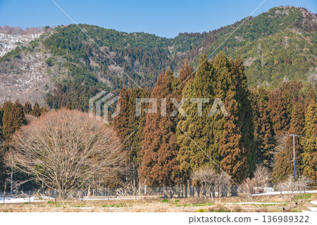 Mountain forest scenery of Lake Biwa in the back, Nagahara, Nagahama City, Shiga Prefecture 136989322