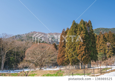Mountain forest scenery of Lake Biwa in the back, Nagahara, Nagahama City, Shiga Prefecture 136989325