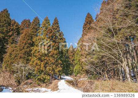 以琵琶湖為背景的山林景色，地點：滋賀縣長濱市長原町 136989326