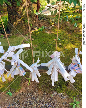 Omikuji tying place Omikuji tying place 136989407