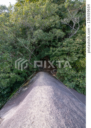 三重縣紀北町,世界遺產,熊野古道,伊勢路,馬賀峠,備志山,象背觀景台 三重縣紀北町,世界遺產,熊野古道,伊勢路,馬賀峠,備志山,象背觀景台 136989684