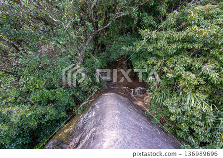 三重縣紀北町，世界遺產，熊野古道，伊勢路，馬賀峠，備志山，象背觀景台 136989696