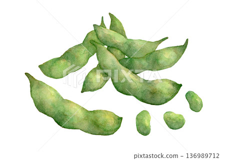毛豆水彩插畫 136989712