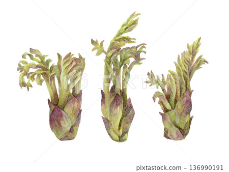 塔羅牌水彩插圖（3） 136990191