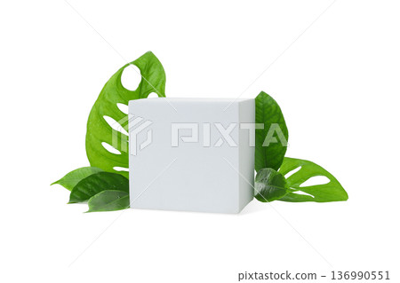 Green leaves outline a white box of nature, isolated, PNG 136990551