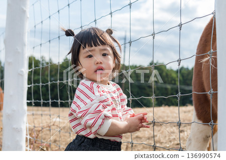 [Grazing horse and two-year-old child] 136990574