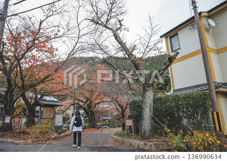Bishamondo Residential Street Quiet Neighborhood In Kyoto Nov 26 2025 Bishamondo Residential Street Quiet Neighborhood In Kyoto Nov 26 2025 136990634