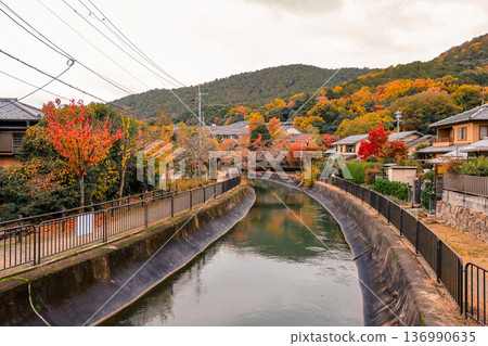 Scenic Yamashina Canal Lined with Seasonal Foliage Kyoto Nov 26 2025 Scenic Yamashina Canal Lined with Seasonal Foliage Kyoto Nov 26 2025 136990635