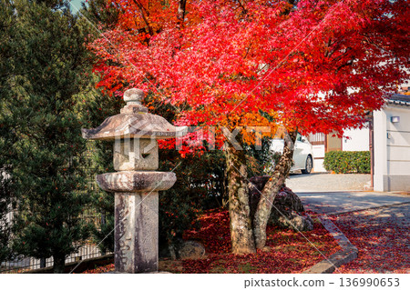 Nov 24 2025 Historic Enjo ji Temple Entrance in Kyoto 136990653