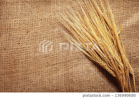 Wheat stalks resting on burlap fabric in a natural setting at a harvest time 136990680