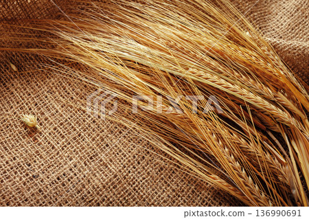 Wheat stalks placed on a burlap cloth in a sunlit setting Wheat stalks placed on a burlap cloth in a sunlit setting 136990691