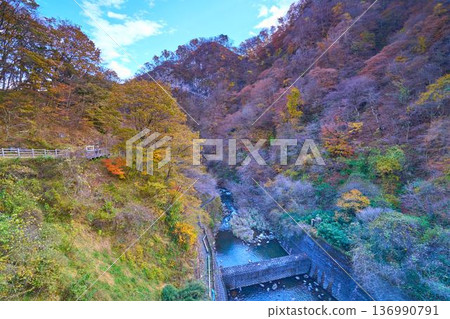 從群馬縣安中市坂本水壩東側眺望秋景 136990791
