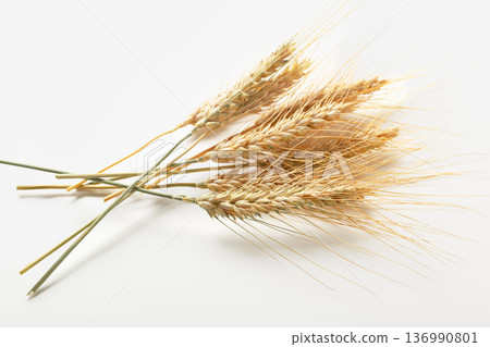 Golden wheat stalks arranged on a plain background showing the grain's texture and structure Golden wheat stalks arranged on a plain background showing the grain's texture and structure 136990801