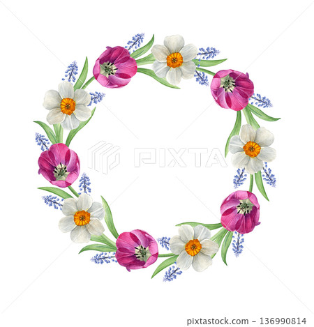Watercolor floral wreath of white daffodils, pink tulips and blue muscari on a white background, hand-painted botanical style, perfect for invitations, greeting cards, spring decor and wedding design Watercolor floral wreath of white daffodils, pink tulips and blue muscari on a white background, hand-painted botanical style, perfect for invitations, greeting cards, spring decor and wedding design 136990814