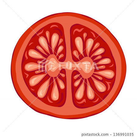 Tomato Cherry slice vector illustration top view for nature design. Red circle vegetable in doodle style with botanical look. Great for Italian menu and restaurant template or organic farm graphic. Tomato Cherry slice vector illustration top view for nature design. Red circle vegetable in doodle style with botanical look. Great for Italian menu and restaurant template or organic farm graphic. 136991035