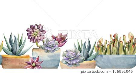 Watercolor aeonium rosette, crassula shoots, sansevieria succulents planted in minimal ceramic pots. Isolated illustration hand drawn in watercolor. Seamless botanical banner for florist promotions Watercolor aeonium rosette, crassula shoots, sansevieria succulents planted in minimal ceramic pots. Isolated illustration hand drawn in watercolor. Seamless botanical banner for florist promotions 136991046