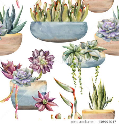 Seamless watercolor tiles of succulents, draping vine foliage in ceramic glazed pots and cachepot, hanging desert gardens. Isolated illustration hand drawn for creative backgrounds, pattern libraries. Seamless watercolor tiles of succulents, draping vine foliage in ceramic glazed pots and cachepot, hanging desert gardens. Isolated illustration hand drawn for creative backgrounds, pattern libraries. 136991047
