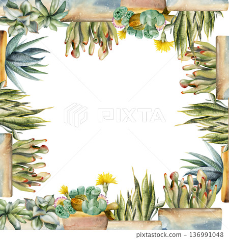 Potted succulent rosettes, flowering living stones lithops, sansevieria blades in ceramic planters. Isolated illustration hand drawn in watercolor. Botanical frame for spa menus, wellness materials. 136991048