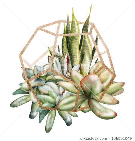 Wireframe metal dodecahedron planter with rosette succulents, sansevieria echeveria plants. Isolated illustration hand drawn in watercolor. Invitations, creative portfolios, sustainable design layout. Wireframe metal dodecahedron planter with rosette succulents, sansevieria echeveria plants. Isolated illustration hand drawn in watercolor. Invitations, creative portfolios, sustainable design layout. 136991049