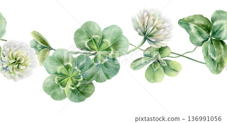 Seamless border of shamrocks and four leaves clover,white flowers.Watercolor ilustration,symbolizing luck and new beginnings,for wedding invitations,bridal party decor,romantic celebrations 136991056