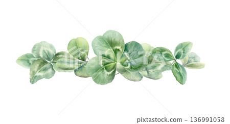 Shamrocks leaves,symbolizing natural support for womens health during menopause.Soft watercolor illustration for wellness brands,healthcare blogs,feminine care design 136991058