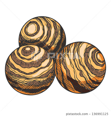 Sandalwood tree products vector sketch, hand drawn fragrant wooden balls, organic herb perfumery cosmetics isolated 136991125