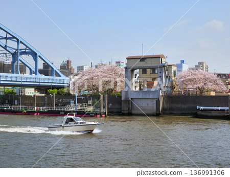 堺川西水閘與櫻花 堺川西水閘與櫻花 136991306