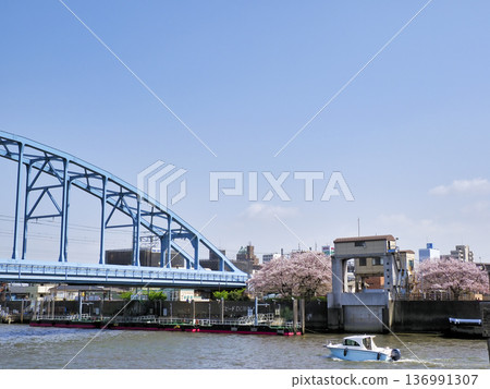 堺川西水閘與櫻花 136991307