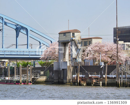 堺川西水閘與櫻花 136991309