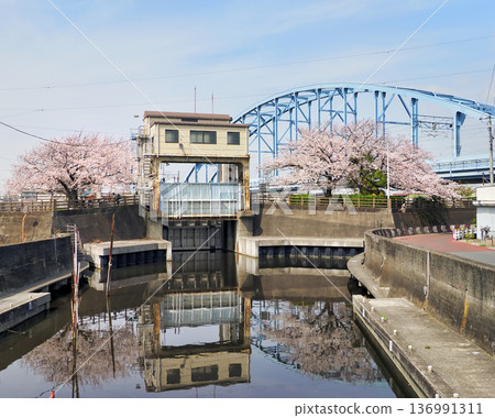堺川西水閘與櫻花 堺川西水閘與櫻花 136991311