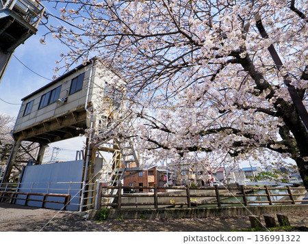 堺川西水閘與櫻花 136991322
