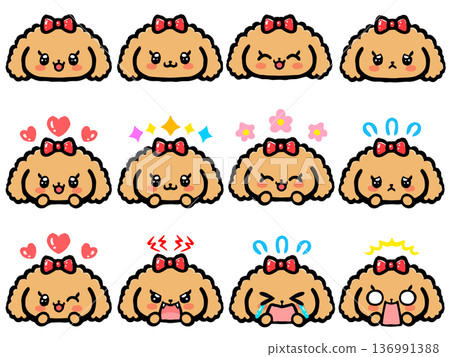 Cute toy poodle face icon illustration set 4 136991388
