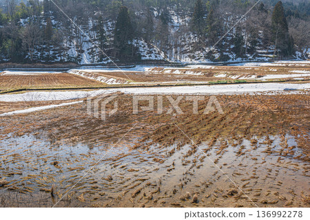 Early spring mountain village, Nagahara, Nagahama City, Shiga Prefecture 136992278