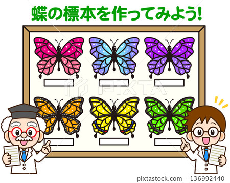 Illustration of a doctor and scientist conducting an experiment on a butterfly specimen Illustration of a doctor and scientist conducting an experiment on a butterfly specimen 136992440