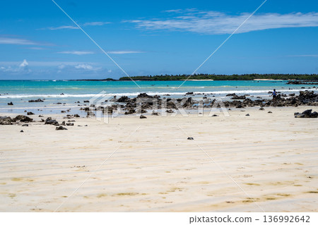 Clear turquoise waters and rocky shore at Santa Cruz Island, Galapagos, Ecuador 136992642
