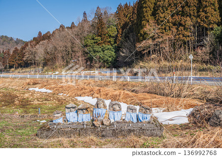 Stone Buddha statue, guardian deity of the village, Nagahara, Nagahama City, Shiga Prefecture 136992768