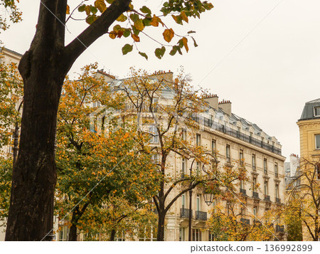 Parisian street view in autumn, haussmann architecture with trees showing fall foliage and a cloudy sky Parisian street view in autumn, haussmann architecture with trees showing fall foliage and a cloudy sky 136992899