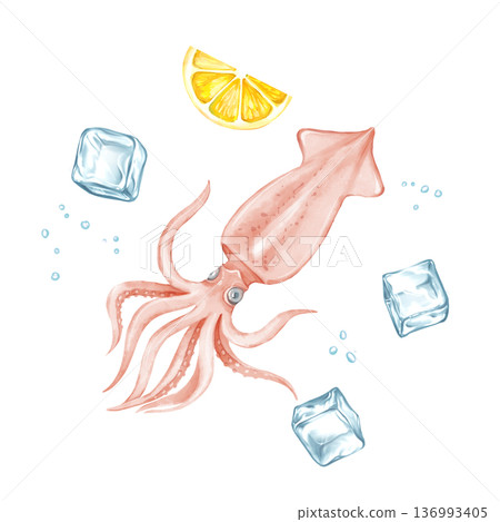 Fresh raw squid with ice cubes and lemon slice illustration 136993405