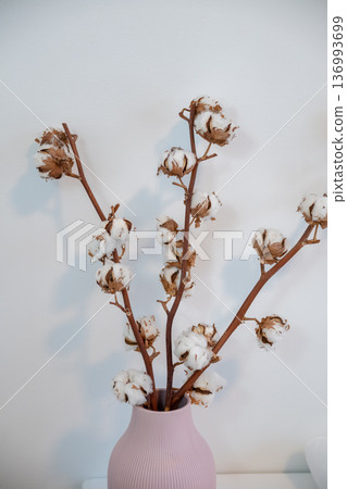 Cotton flower branches in ceramic vase on white background interior decor Cotton flower branches in ceramic vase on white background interior decor 136993699