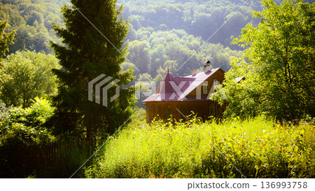 Cozy Wooden House Hidden in Sunlit Forest Hills 136993758